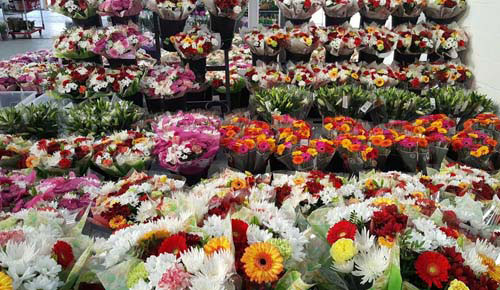 Buy From the Best Wholesale Flower Supplier in London
