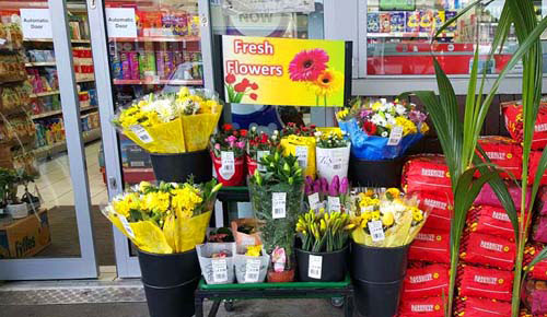 Fresh Flower Supplier in Hayes