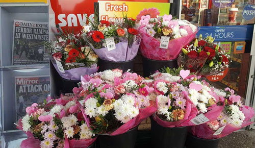 Know the Best Wholesale Fresh Flower Supplies in London