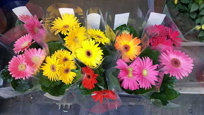 Wholesale Flowers and Supplies in UK
