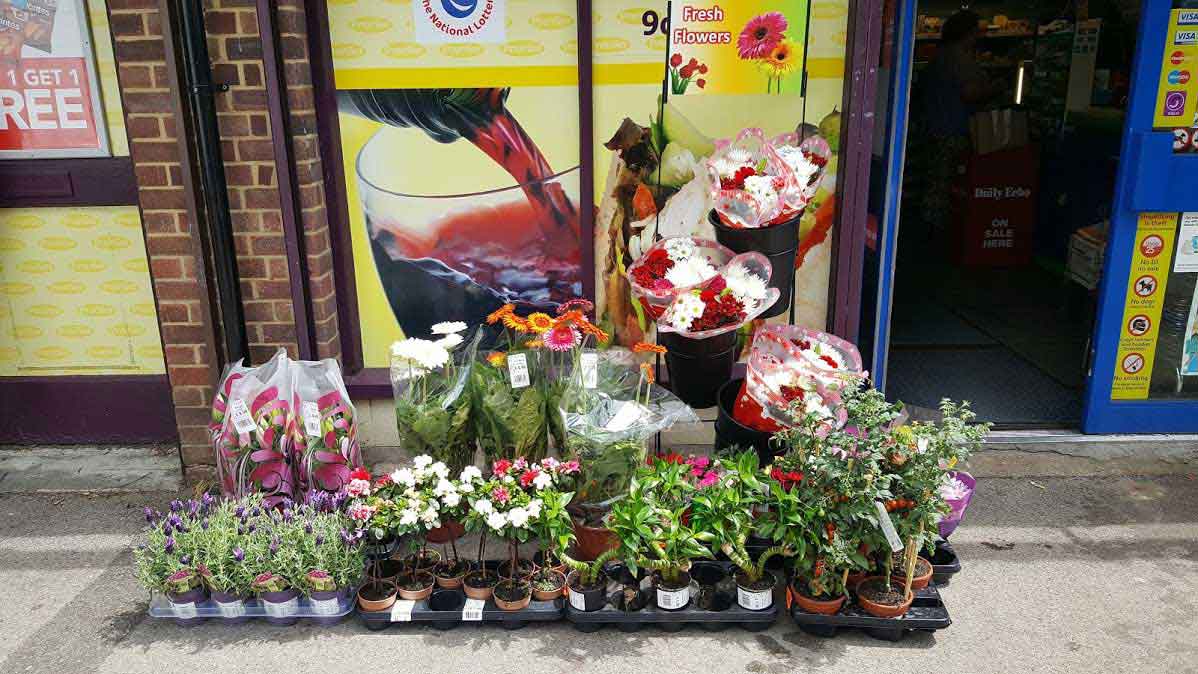 Wholesale Flowers and Supplies in London