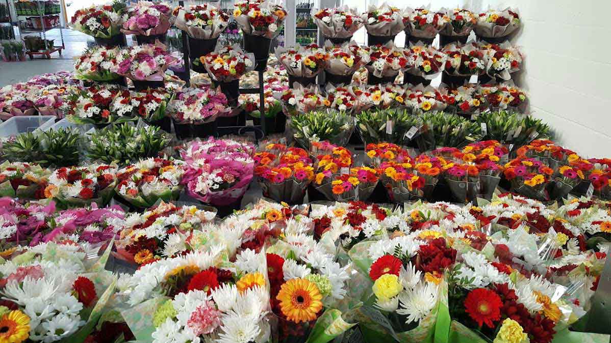 Wholesale Flower Suppliers in UK