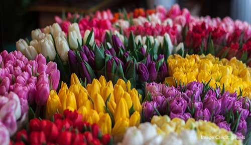 Flower Market