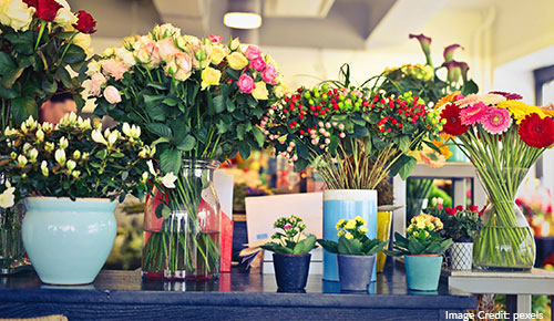 Forecourts Flower Supplier