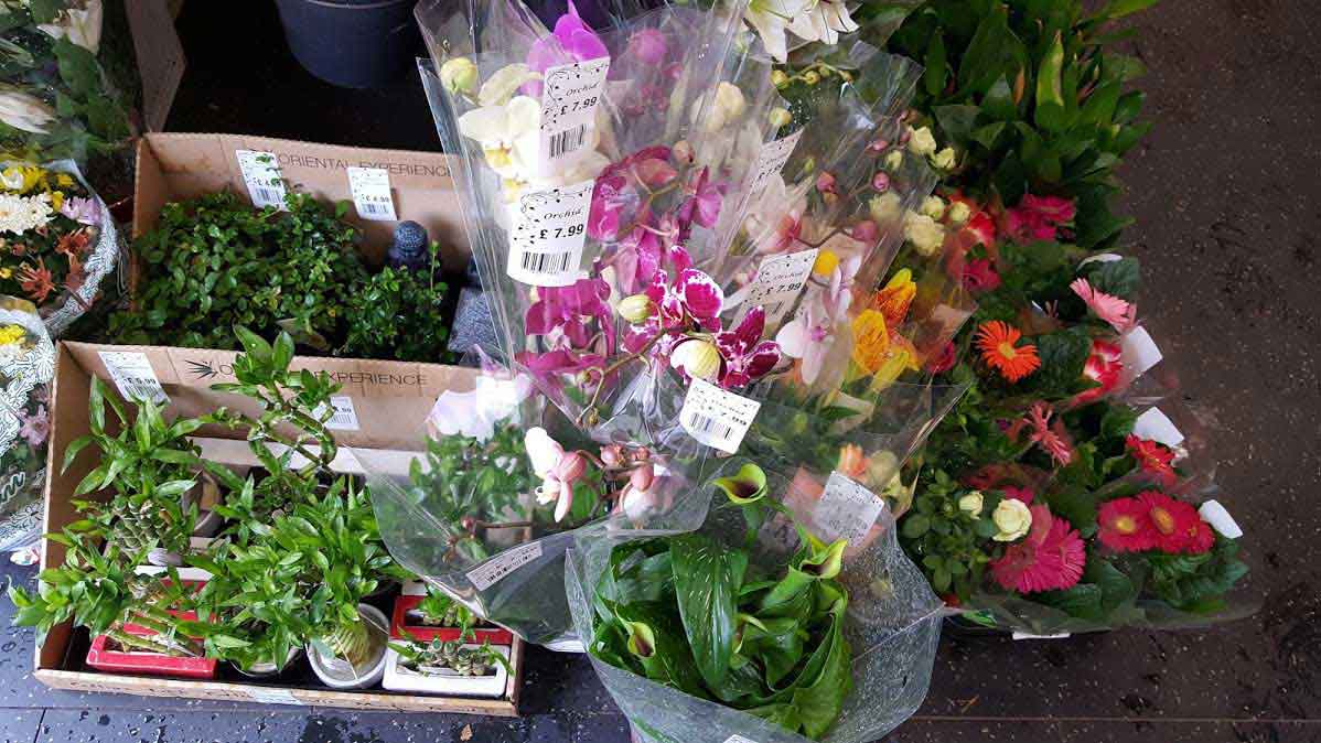 wholesale florist supplies fresh flowers

