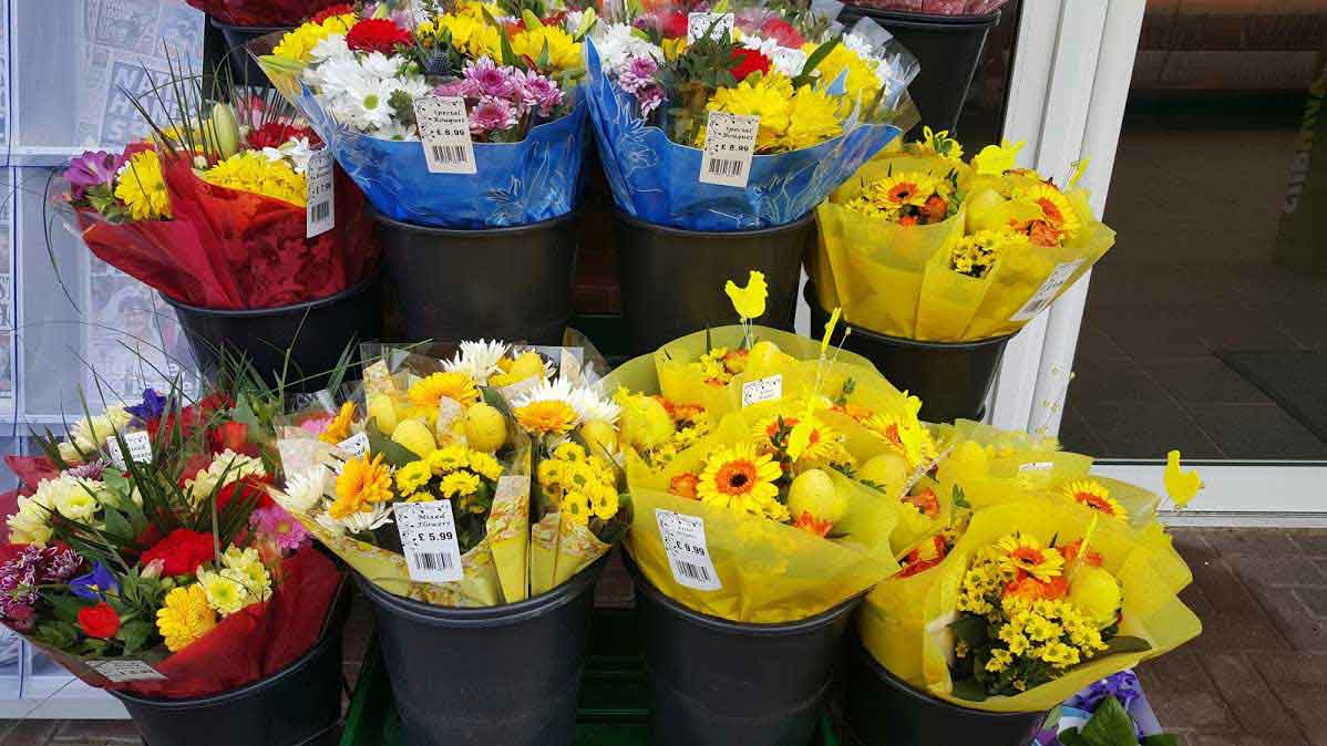 Wholesale Flower Suppliers