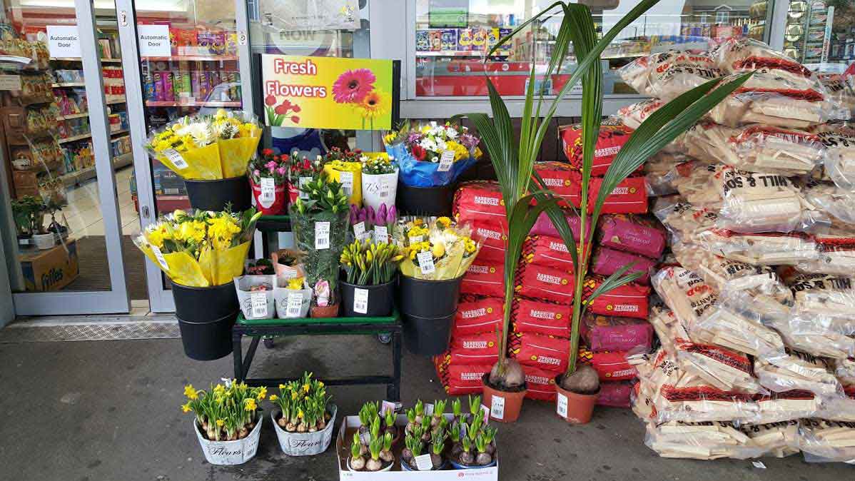 Wholesale Flower Suppliers in UK