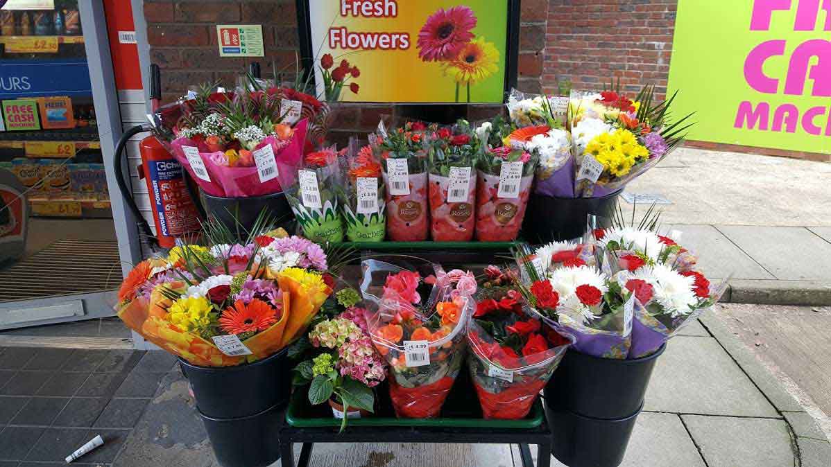 Wholesale Cut Flower in UK