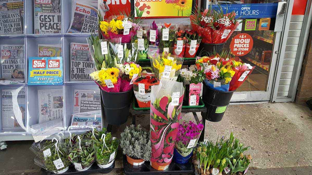 Wholesale Flowers and Supplies