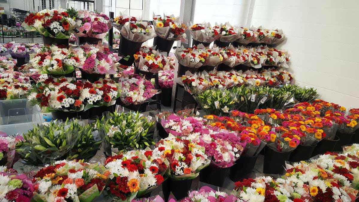 Wholesale Flower Suppliers