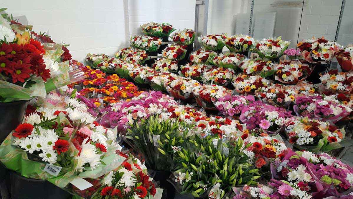 Wholesale Flower Suppliers UK